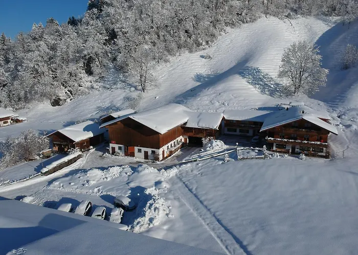 Appartement Laemmerhofer *